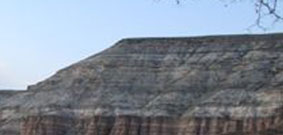 Telescopios Digifox